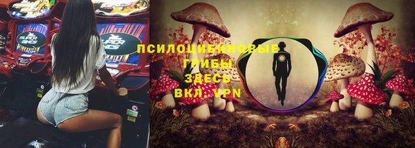 ГАЛЛЮЦИНОГЕННЫЕ ГРИБЫ Алексин